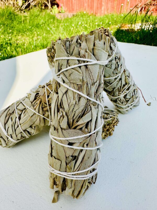 White Sage Smudge Stick - Image 5