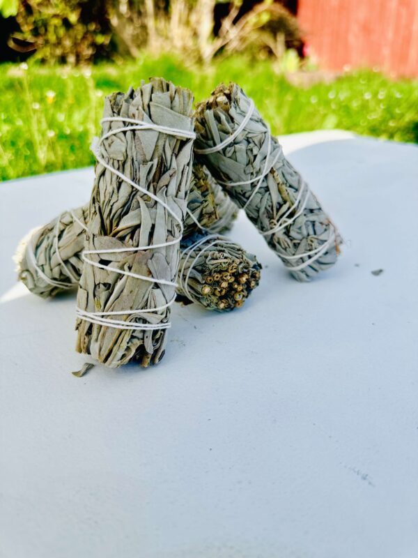 White Sage Smudge Stick - Image 6