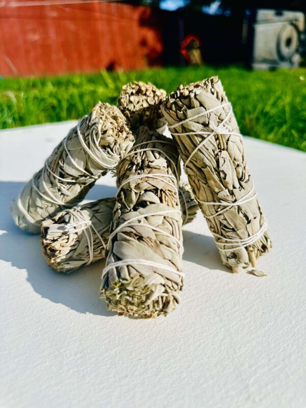 White Sage Smudge Stick